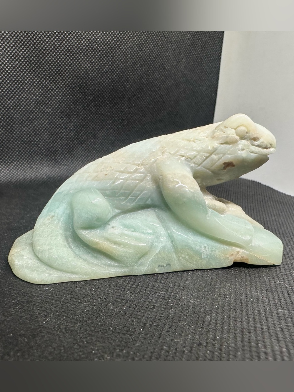 Amazonite lizard